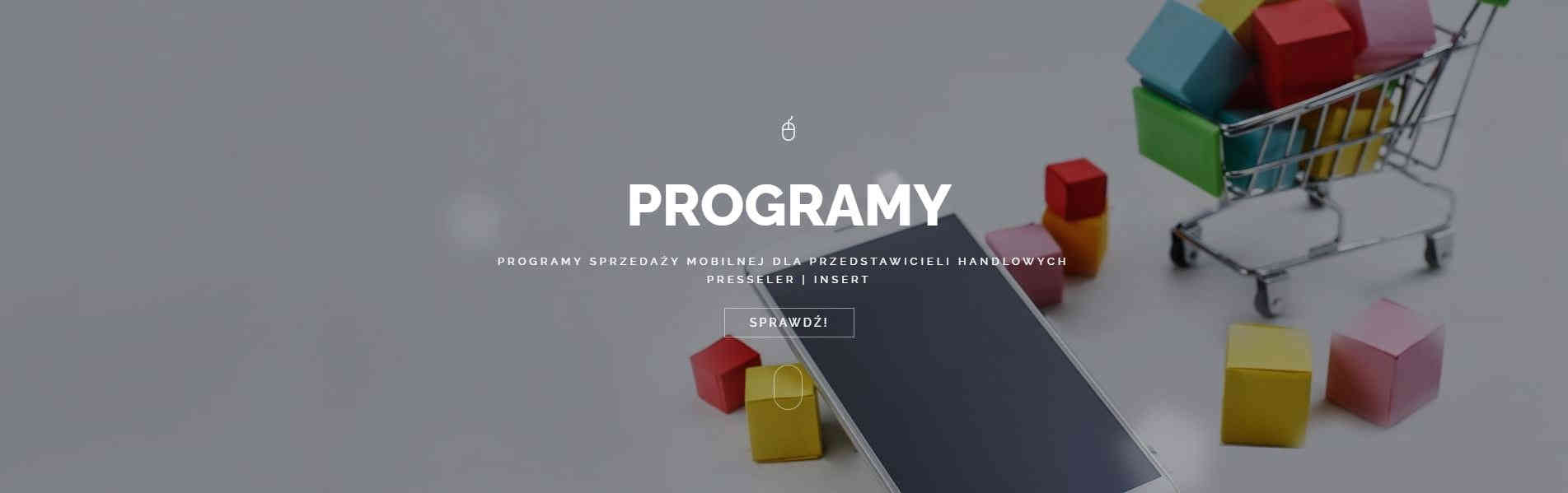 Programowanie - programy sprzedaży dla handlowców Toruń
