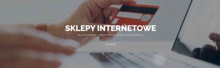 Projektowanie i tworzenie sklepów internetowych Toruń
