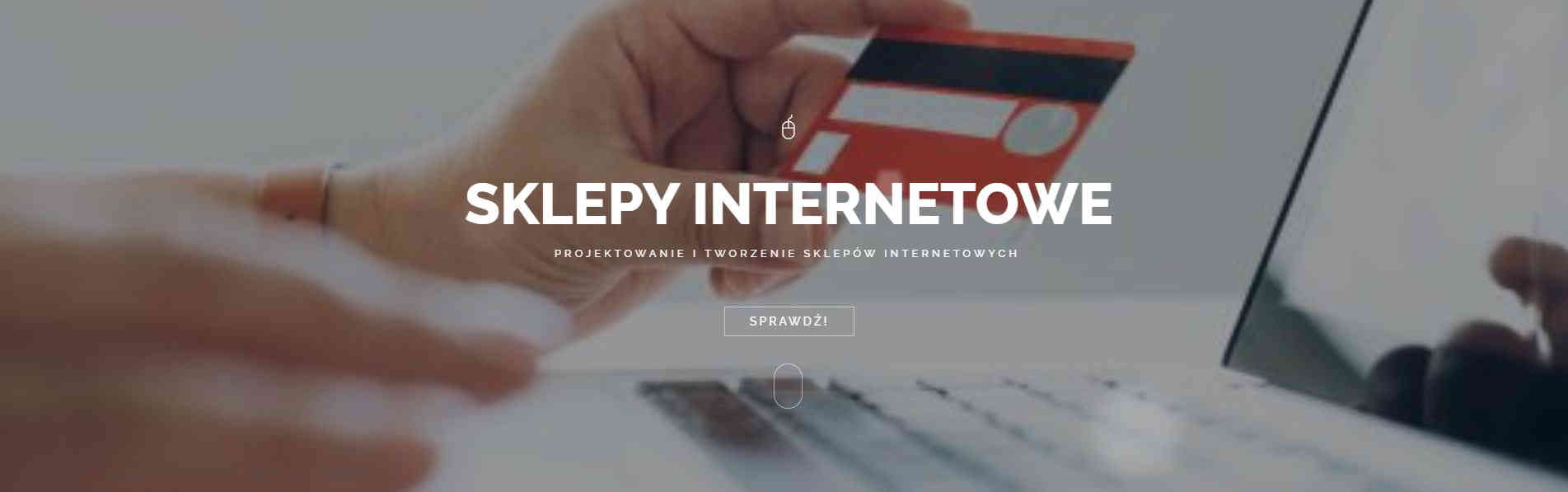 Projektowanie i tworzenie sklepów internetowych Toruń