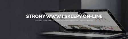 Tworzenie stron www i sklepów internetowych Toruń