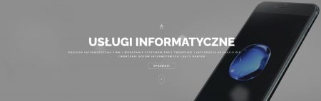 Obsługa informatyczna firm Toruń, wdrażanie systemów erp, integracja aplikacji