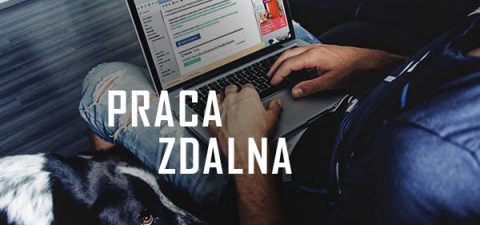 Praca zdalna. Popularny trend i ciekawe rozwiązanie. Bezpieczeństwo pracy zdalnej