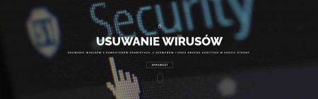 Usuwanie wirusów z komputerów, serwerów i stron internetowych Toruń